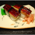 Anguila unagi